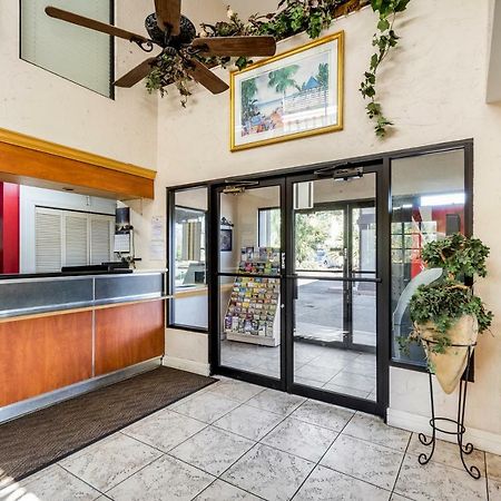 Econo Lodge Palm Harbor - Clearwater Exteriör bild